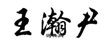 胡問遂王瀚尹行書個性簽名怎么寫