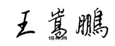 王正良王嵩鵬行書個性簽名怎么寫