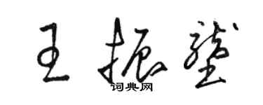 駱恆光王振壟草書個性簽名怎么寫