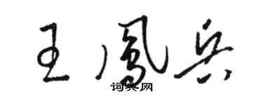 駱恆光王鳳兵草書個性簽名怎么寫
