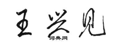 駱恆光王興見行書個性簽名怎么寫