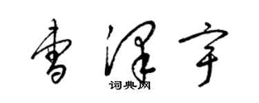 梁錦英曹澤宇草書個性簽名怎么寫