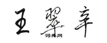 駱恆光王翠辛行書個性簽名怎么寫