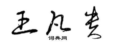 曾慶福王凡貴草書個性簽名怎么寫