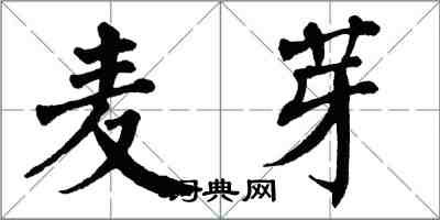 翁闓運麥芽楷書怎么寫