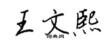 王正良王文熙行書個性簽名怎么寫