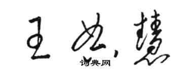 駱恆光王典慧草書個性簽名怎么寫