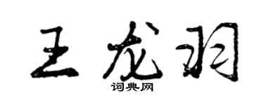 曾慶福王龍羽行書個性簽名怎么寫