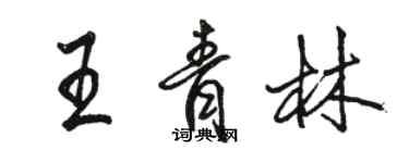 駱恆光王青林行書個性簽名怎么寫