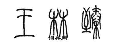 陳墨王林臻篆書個性簽名怎么寫