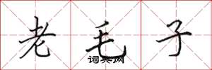 田英章老毛子楷書怎么寫
