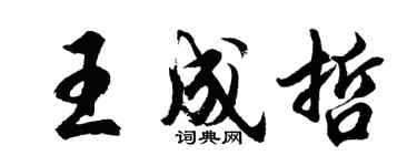 胡問遂王成哲行書個性簽名怎么寫