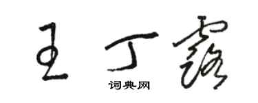 駱恆光王丁露草書個性簽名怎么寫