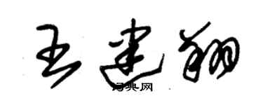 朱錫榮王建翔草書個性簽名怎么寫