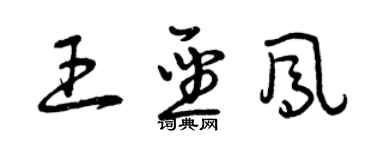 曾慶福王聖鳳草書個性簽名怎么寫