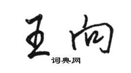 駱恆光王向行書個性簽名怎么寫