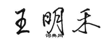 駱恆光王明禾行書個性簽名怎么寫