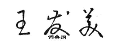 駱恆光王發美草書個性簽名怎么寫