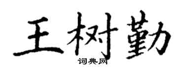 丁謙王樹勤楷書個性簽名怎么寫