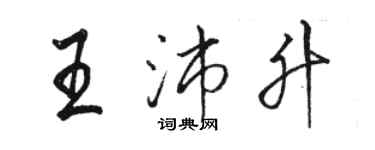 駱恆光王沛升行書個性簽名怎么寫