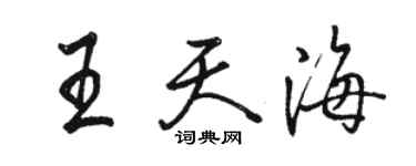 駱恆光王天海行書個性簽名怎么寫