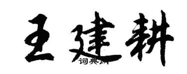 胡問遂王建耕行書個性簽名怎么寫