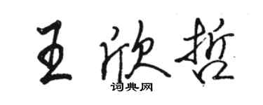 駱恆光王欣哲行書個性簽名怎么寫