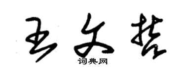朱錫榮王文哲草書個性簽名怎么寫