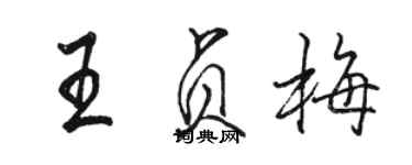 駱恆光王貞梅行書個性簽名怎么寫