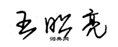 朱錫榮王昭亮草書個性簽名怎么寫