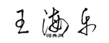 駱恆光王海樂草書個性簽名怎么寫