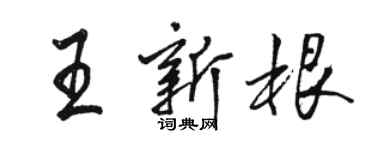 駱恆光王新根行書個性簽名怎么寫
