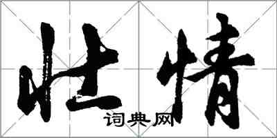 胡問遂壯情行書怎么寫