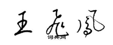 梁錦英王飛鳳草書個性簽名怎么寫