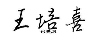 王正良王培喜行書個性簽名怎么寫