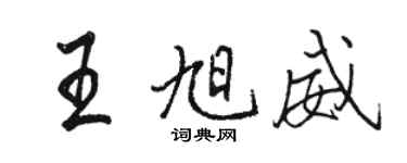 駱恆光王旭威行書個性簽名怎么寫