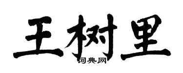 翁闓運王樹里楷書個性簽名怎么寫
