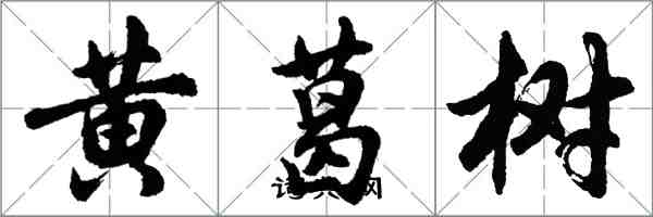 胡問遂黃葛樹行書怎么寫