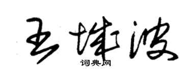 朱錫榮王城波草書個性簽名怎么寫