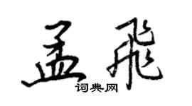 王正良孟飛行書個性簽名怎么寫
