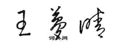 駱恆光王夢晴草書個性簽名怎么寫