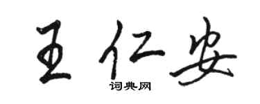駱恆光王仁安行書個性簽名怎么寫