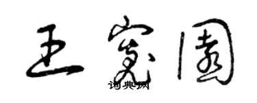 曾慶福王寬園草書個性簽名怎么寫