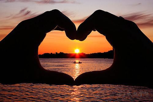 騾組詞_相關詞解釋造句_騾字組詞