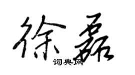 王正良徐磊行書個性簽名怎么寫