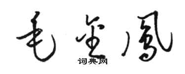 駱恆光毛金鳳草書個性簽名怎么寫