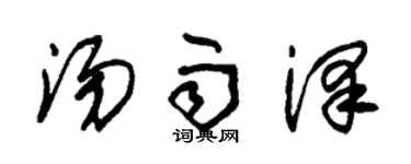 朱錫榮湯雨澤草書個性簽名怎么寫