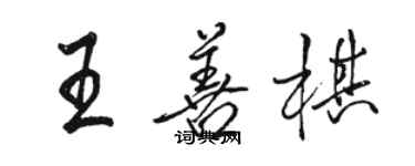 駱恆光王善棋行書個性簽名怎么寫