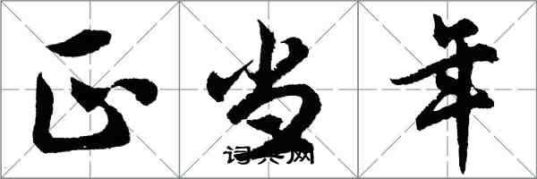 胡問遂正當年行書怎么寫