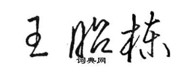 駱恆光王昭棟草書個性簽名怎么寫